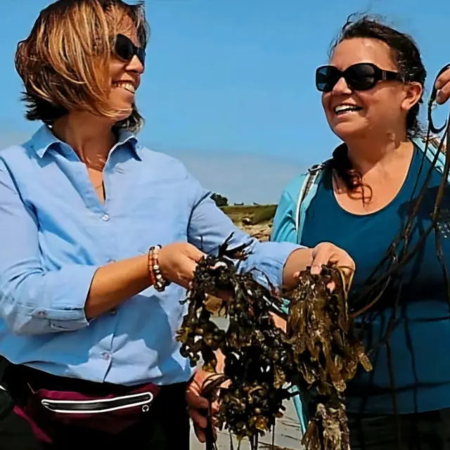 photo sortie algues(2)(1)