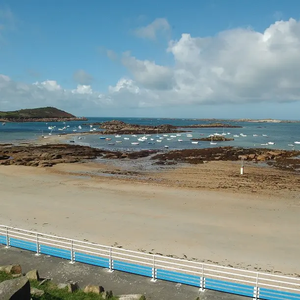 pors termen - Copie