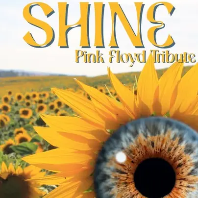 shine