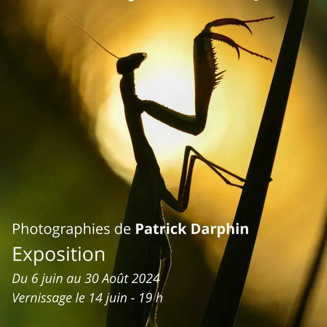 darphin-patrick
