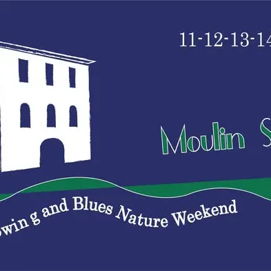 Moulin swing
