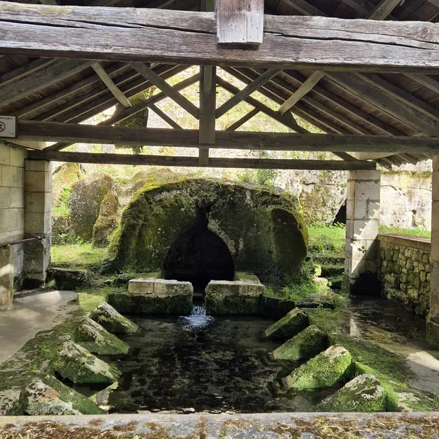 488642101_1497810974882394_6978098062943801894_n