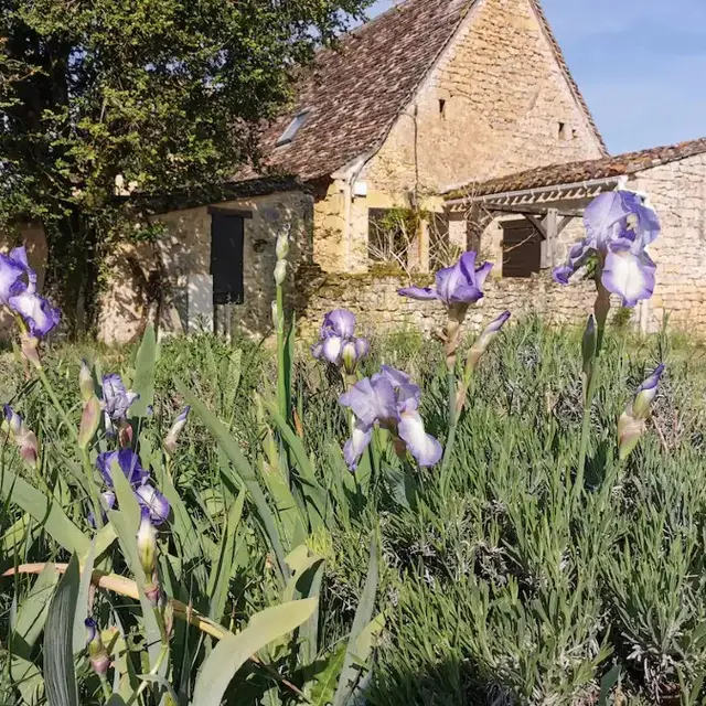Gîte Le Cantou