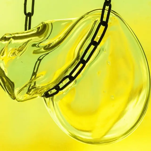 ©Fanny Trichet En Transparence