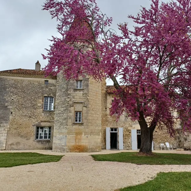 ©Manoir Du Lau (4)