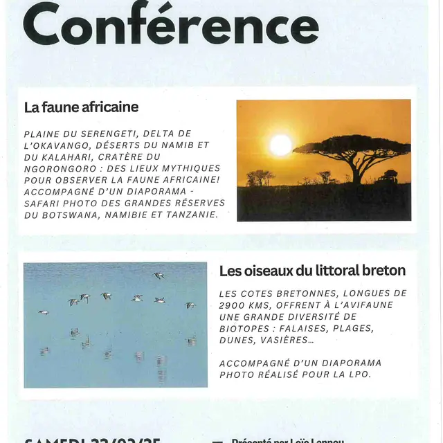 03 - Conférence - SA
