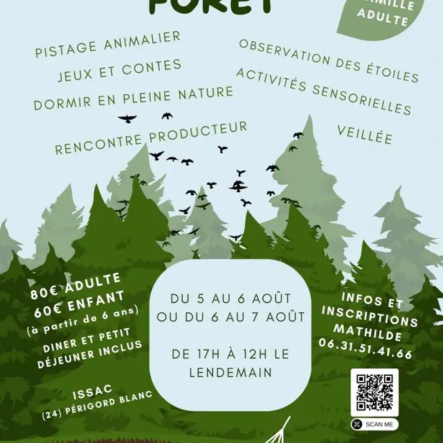 0508 bivouac en foret
