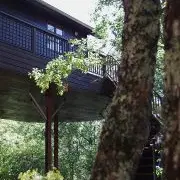 1-Bienvenue-a-la-Cabane-du-Rouge-Gorge