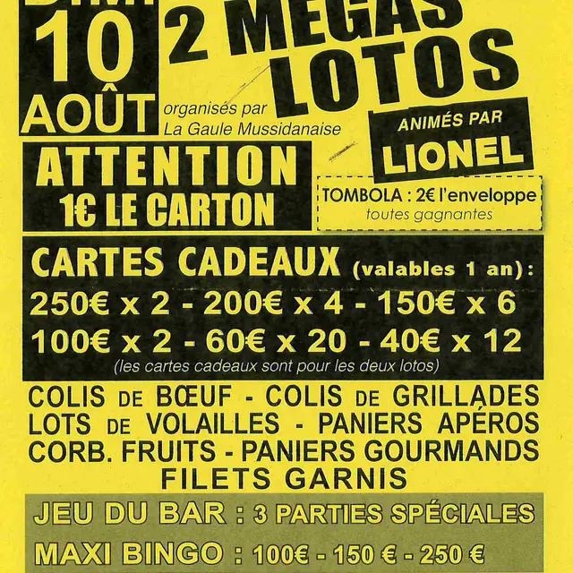 1008 lotos