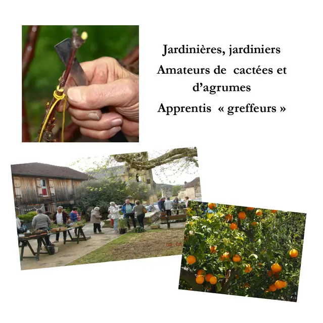 Troc de Plantes