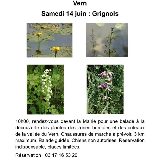 14-juin-grignols