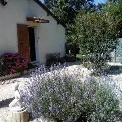 Studio La Pouliche