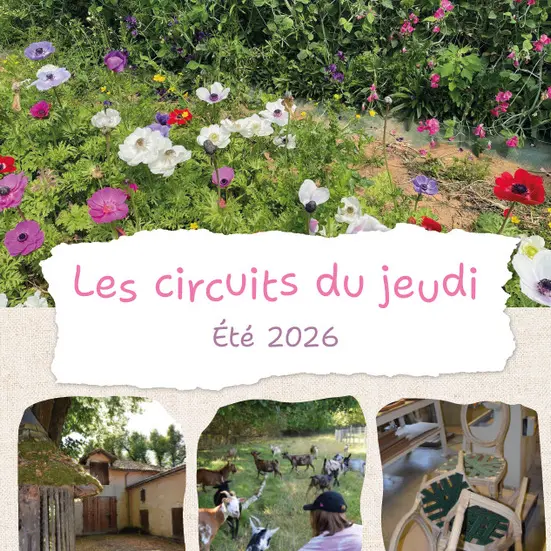 16-juillet-circuit-du-jeudi