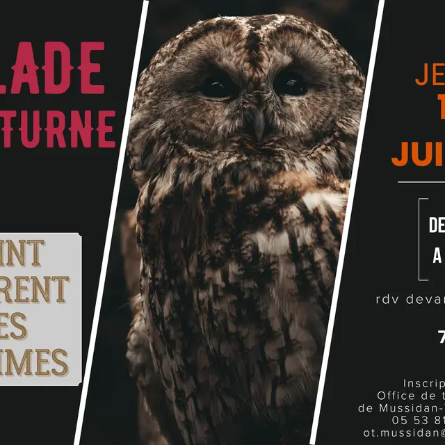 balade nocturne - 1