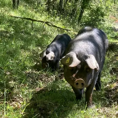 2-Ferme de la massinie