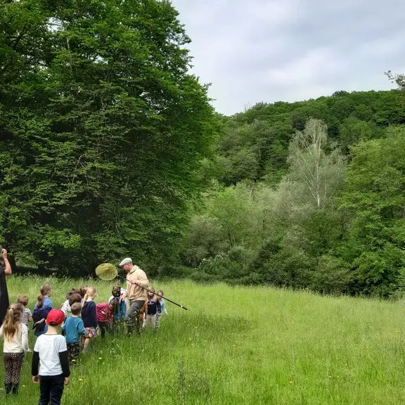 20_Sur la piste des abeilles sauvages @PNRPL