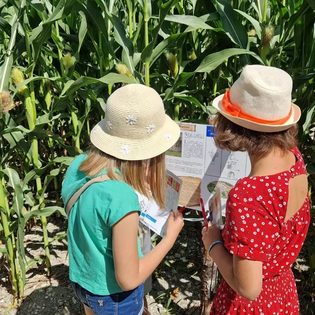 Périgord Inattendu - Été Actif, Labyrinthe-Végétal