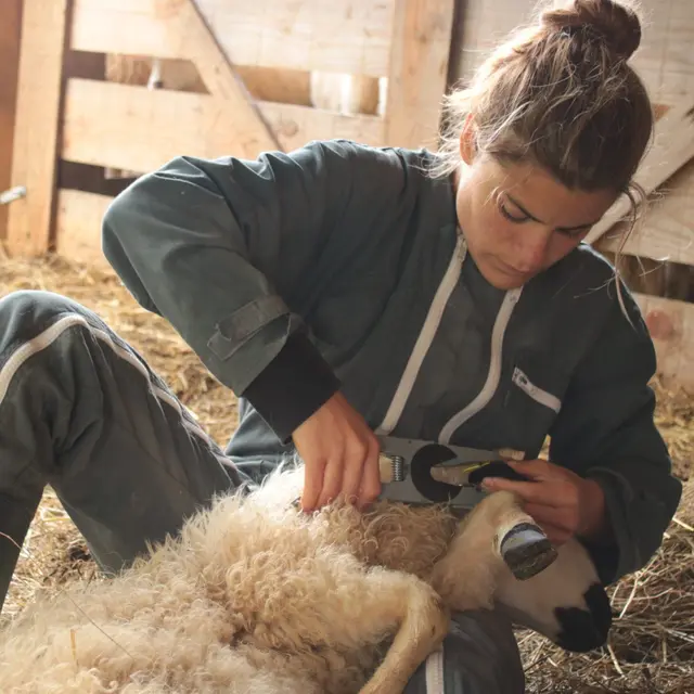 20261124_le champ des femmes