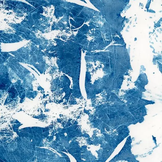 25_Cyanotype - Ken Lecoq
