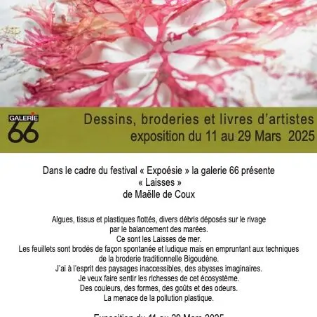Galerie 66 - Maëlle de Coux