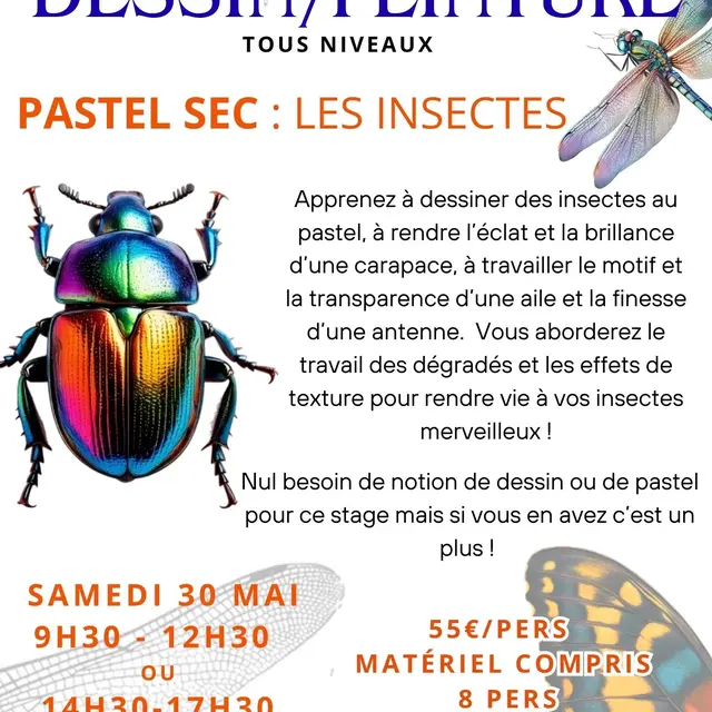 STAGES ET COURS DE DESSIN/PEINTURE - 72