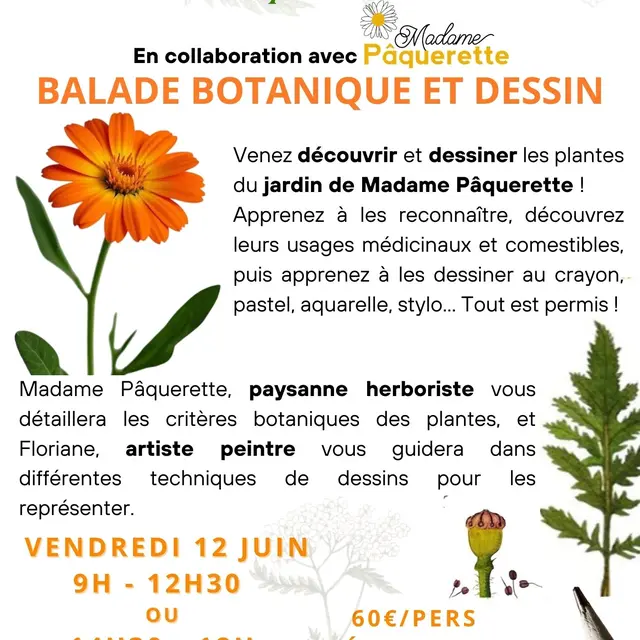 STAGES ET COURS DE DESSIN/PEINTURE - 74