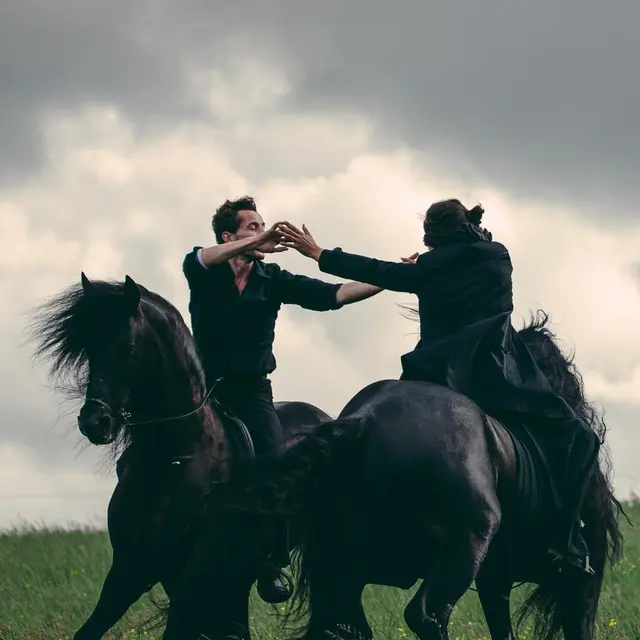 3 1 ENTRE CHIENS ET LOUPS