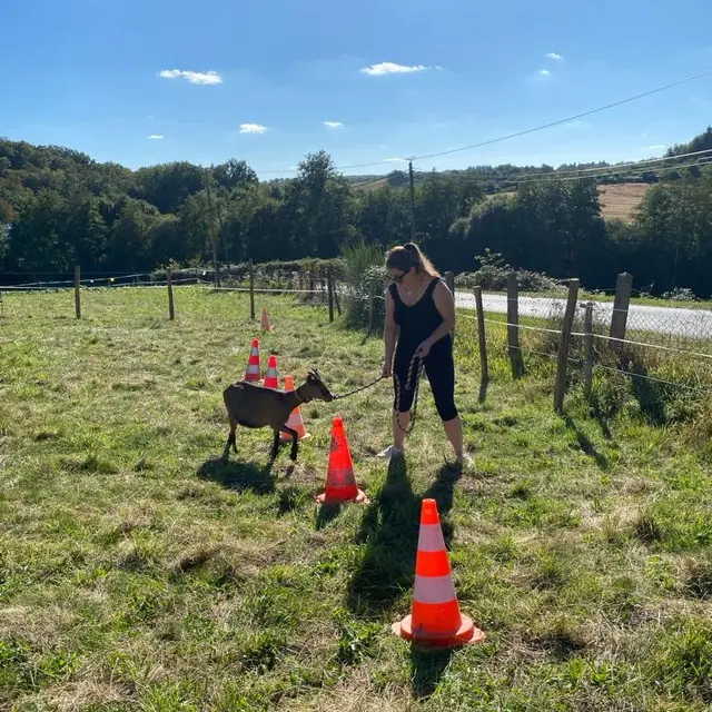 Travail à pied
