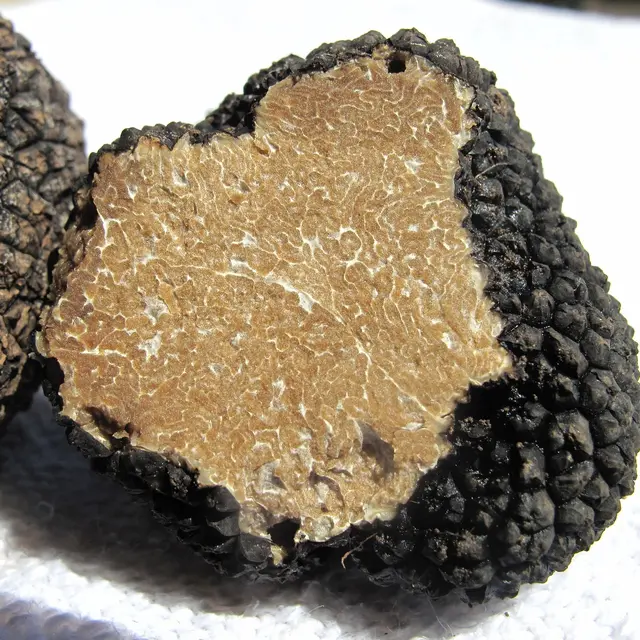 Visite Prestige Truffe et Ferme de la Massinie