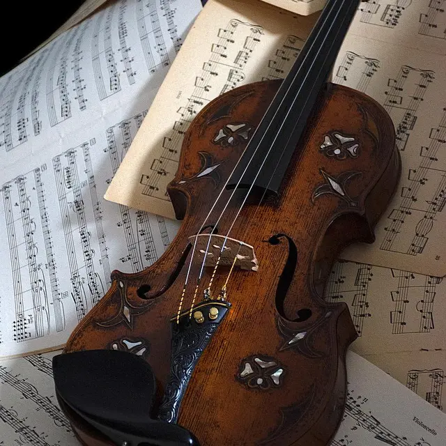 violon