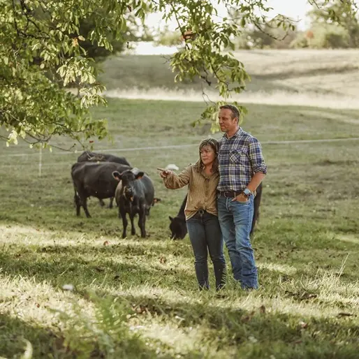 visite au coeur du troupeau