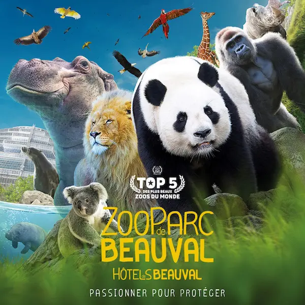 zoo beauval