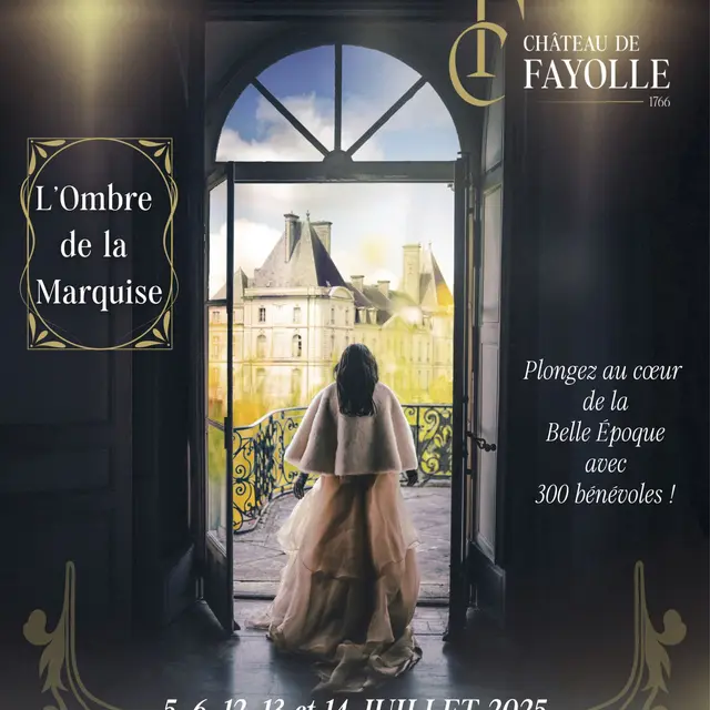 AFFICHE-GSI