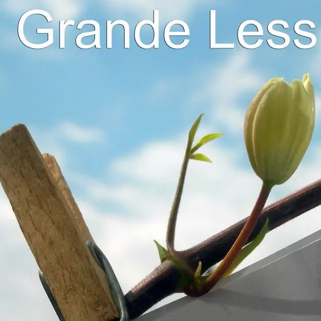 La-Grande-Lessive-Faux-16oct