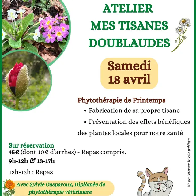 Atelier tisane 18042026