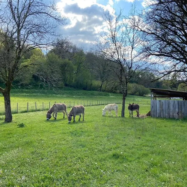 Aux aneries de la Dordonie (4)