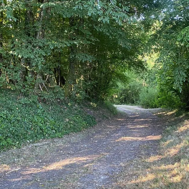 BASSILLAC-Boucles de Fontaines-Chemin