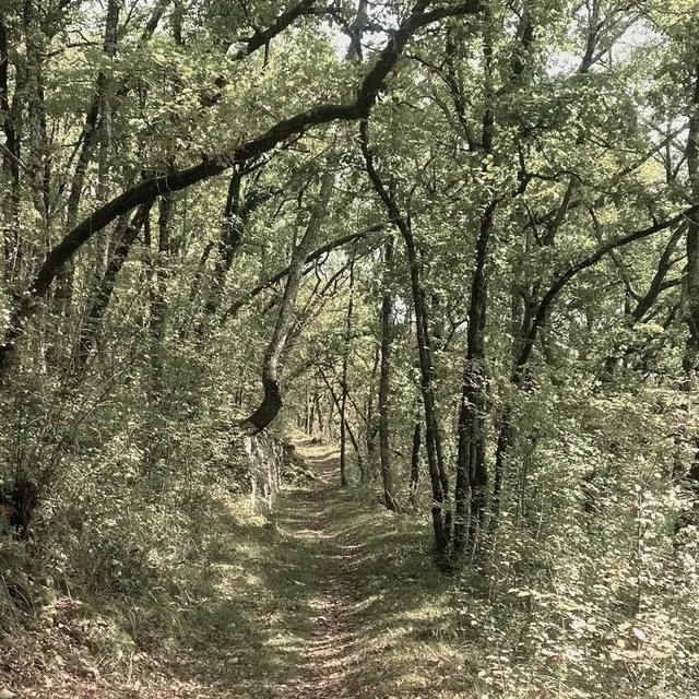 BERBIGUIERES-Boucle de Berbiguières-Chemin