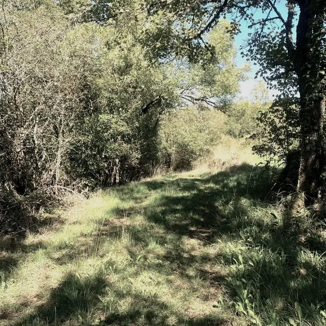 BOUZIC-Boucle Vivinières-Chemin