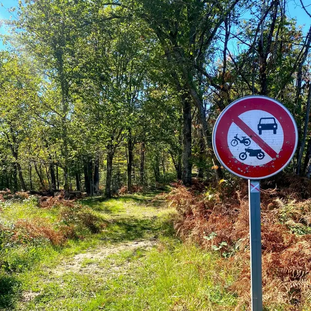 BUSSAC-Boucle de Bussac-Chemin 2