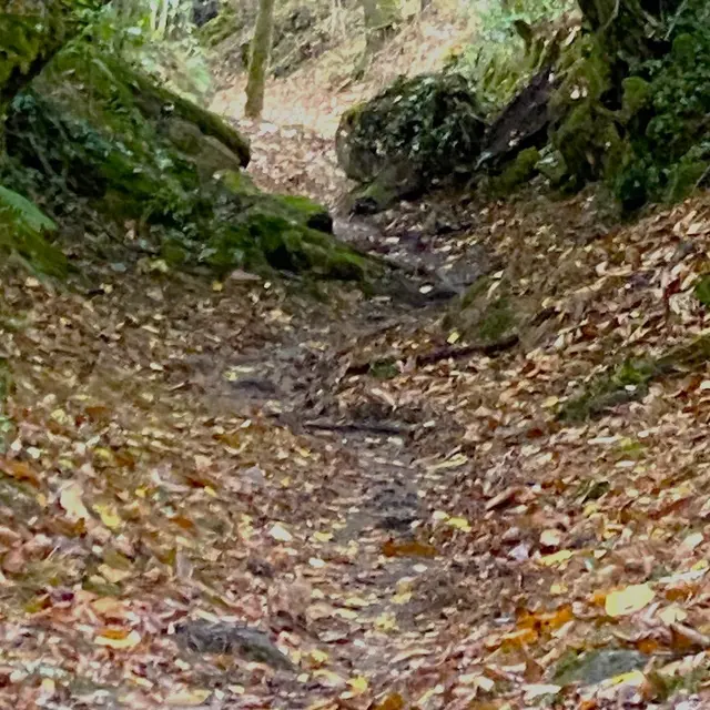 BUSSEROLLES-Boucle du Buisson-Chemin 2