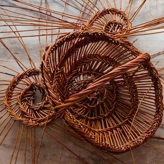Bouyricou Didier Scallie
