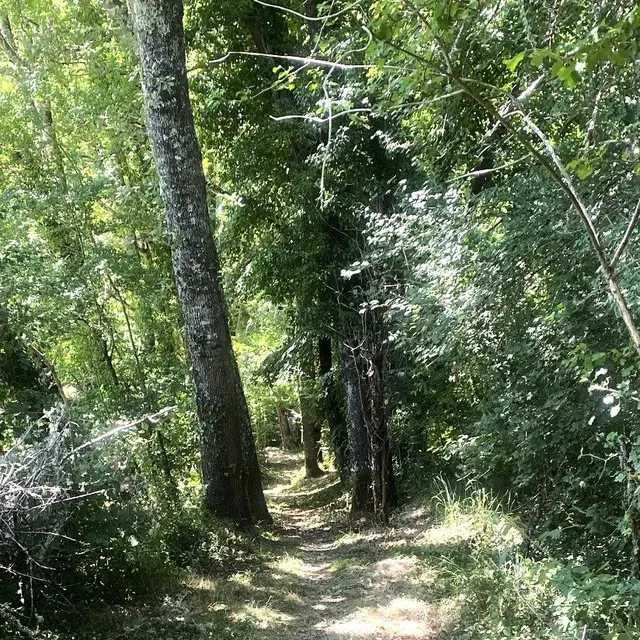 Blis et Born-Boucle des Eperliches-Chemin