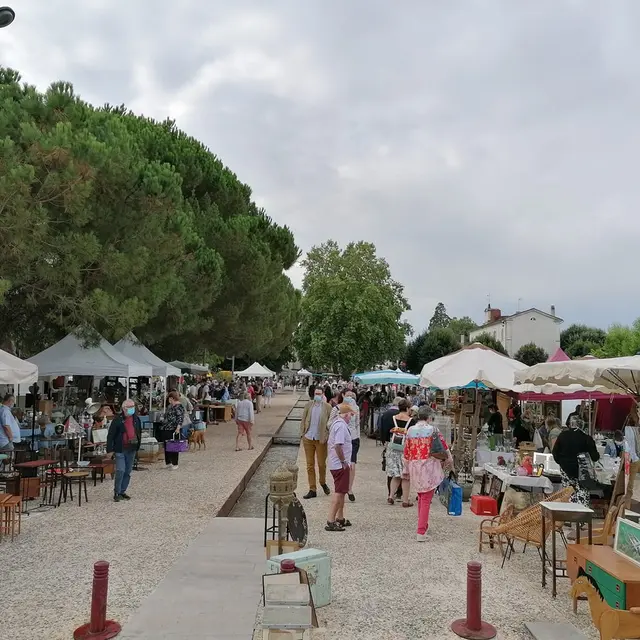 Brocante