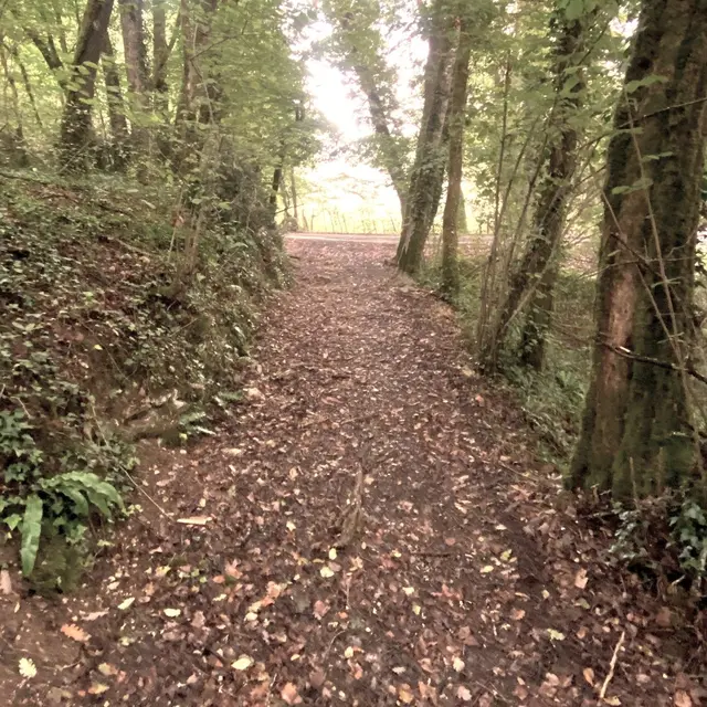 CASTELS-Boucle de Castels-Chemin