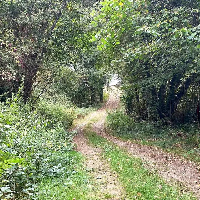 CHALAIS-Boucle des étangs-Chemin
