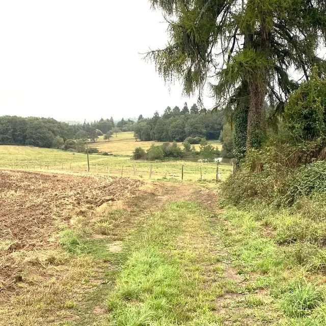 CHAMPNIERS-ET-REILHAC-Boucle de l'Albine-Chemin 2
