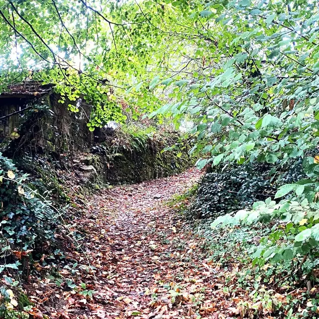 CHAMPNIERS-ET-REILHAC-Boucle de la Voie romaine-Chemin 2