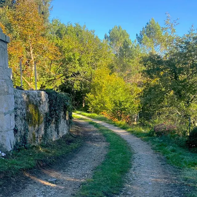 CHAMPAGNAC-DE-BELAIR-Boucle Dronne et Trincou-Chemin 2