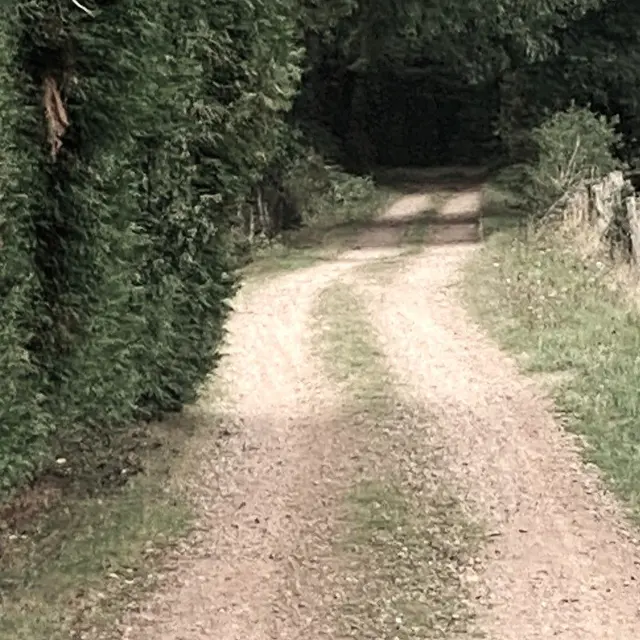 CHAMPS-ROMAIN-Boucle du Tacot-Chemin